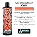 Brightwell Aquatics Ultraplanktos P CWM - Liquid Phytoplankton Food Suspension for Corals and Invertebrates in Temperate Marine Aquariums, 500ml