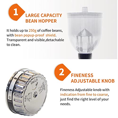 Boyuan Molinillo de café eléctrico Profesional, Molinillo de café de Rebabas, Molinillo de café en Grano con Capacidad de tolva de Grano de café de 300 g, 8 ajustes de molienda precisos para Goteo - Imagen 4