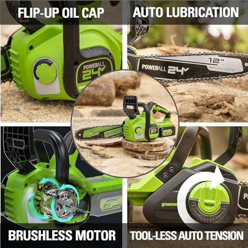 Greenworks 24V 12