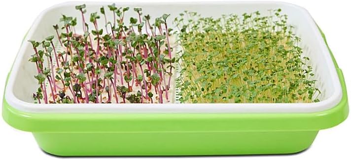 Park Seed Easy DIY Planting Sow Effortless Collection Seed Mats, Microgreens Kit