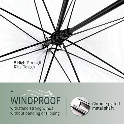 Image of Robustt Transparent Big Size Umbrella for Rain | 8 Windproof Ribs | Portable with Hook Handle | Clear View Transparent Canopy for Unobstructed View in Rain