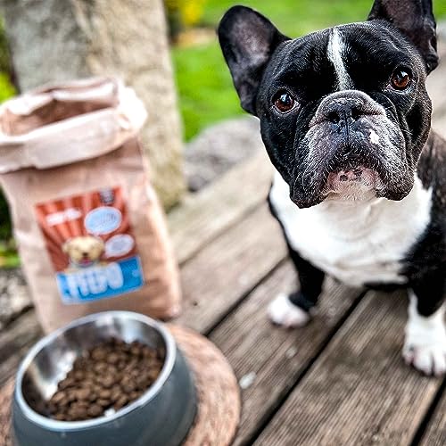 Sollis Trockenfutter für Hunde | Hypoallergen | Pferd | Allergiker geeignet | Getreidefrei & Zuckerfrei | Besonders verträglich | 2kg