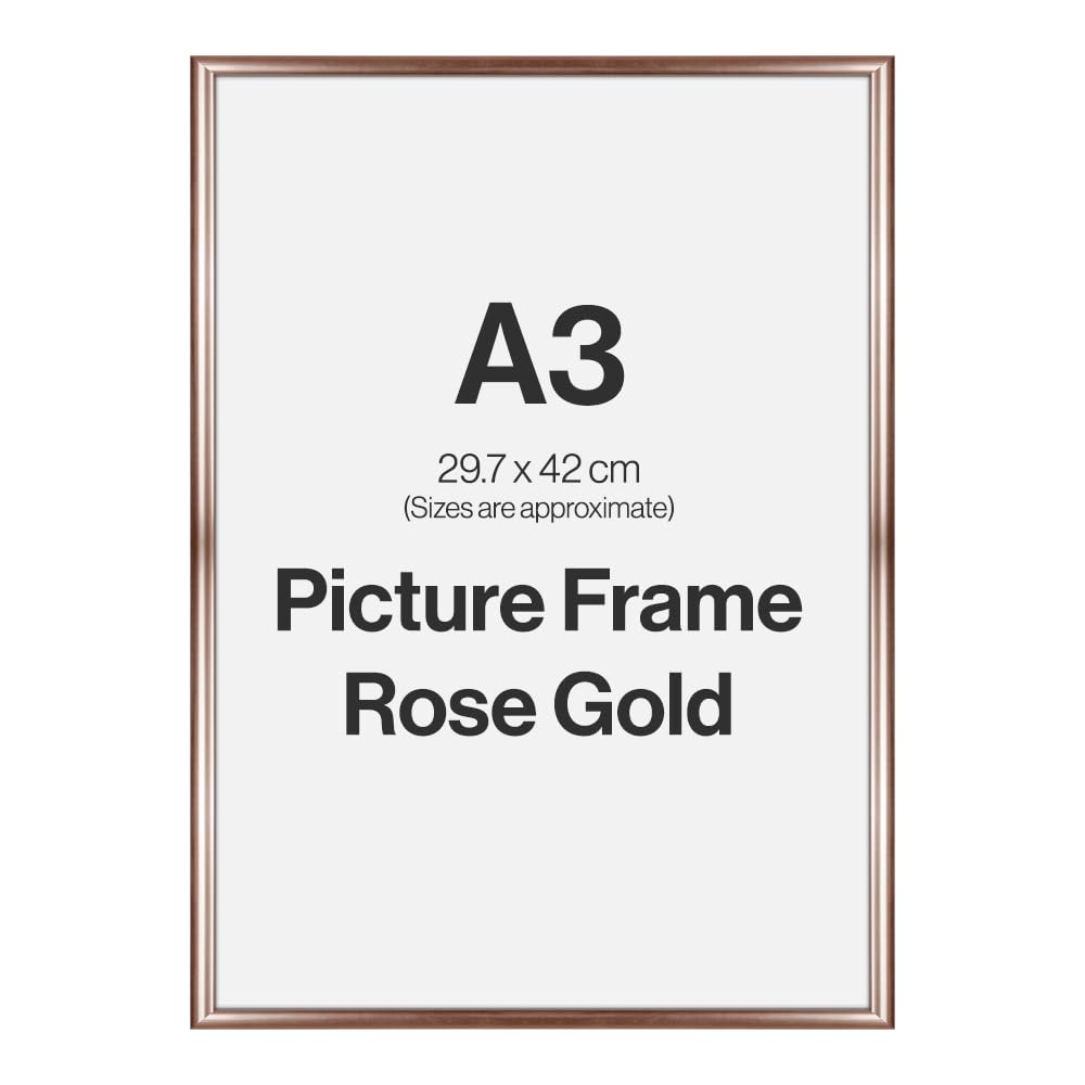 Home Selections Rose Gold Modern A3 Photo Frame For A3 (29.7 X 42Cm) Photos Or Pictures, Plexi Glass, Wall Mounted Landscape Or Portrait