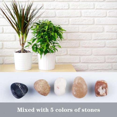 Image of 5lb Mixed Color Silica Gravel Pebbles, 1 /5 inch Decorative Stones for Succulents, Pebbles for Vases,Plants Rocks, Aquarium Sand, Top Dressing, Outdoor Decorative Rocks