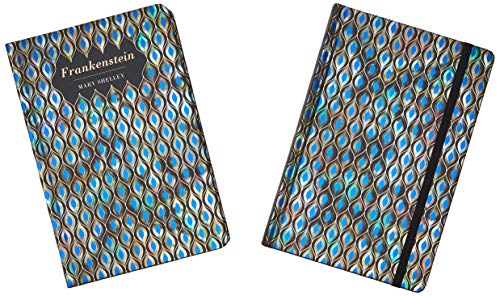 Frankenstein Gift Pack - Lined Notebook & Novel (Chiltern Pack, 1) image 4