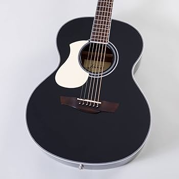 Amazon | James J-450A/LH Black アコースティックギター 左利き