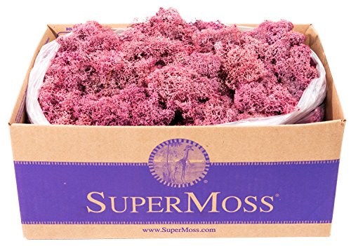 SuperMoss 21786 Reindeer Moss Preserved Black Appx. 3 lb Bulk Case product thumbnail 13