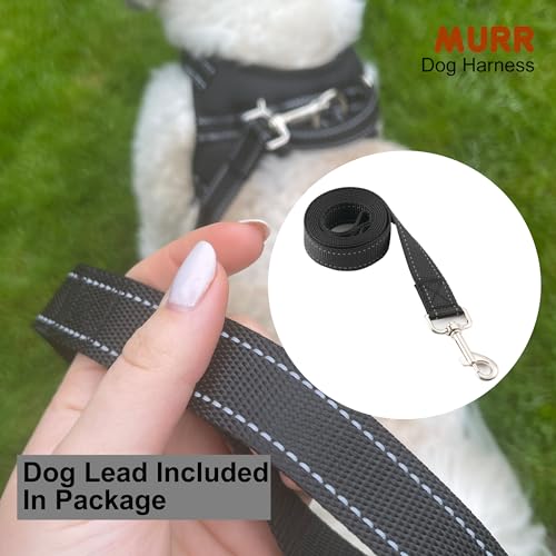 Small dog harness no pull, puppy harness with lead - Image 2