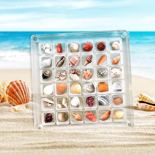 Magnetische Muschelvitrine aus Acryl, 36 Fächer, Muschelvitrine, doppelseitig zu öffnen, magnetische Muschelvitrine aus Acryl für Muscheln, Seesterne, Schmuck, Perlen, Nägel, Schmuck