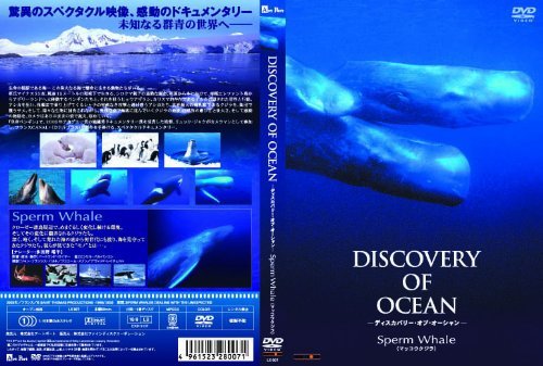 ラスト・オブ・イングランド [DVD] p706p5g ラスト・オブ・イングランド [DVD] p706p5g 【公式通販】