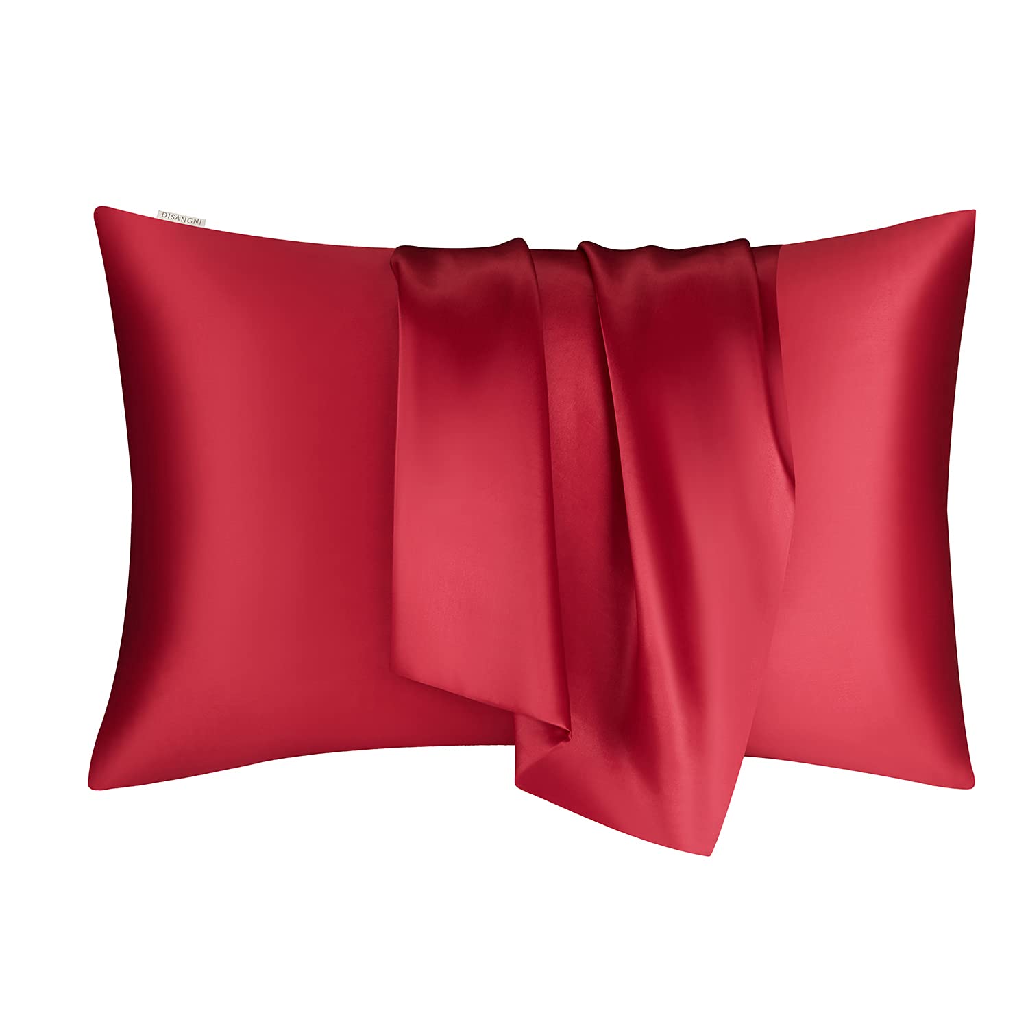 DISANGNI Funda de almohada de seda de morera 100% natural para cabello y piel, con cremallera oculta, 22 Momme en ambos lados, funda de almohada de seda real (2 piezas tamaño Queen de 20 x 30