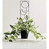 Product Photo 9
