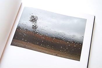 アッバス・キアロスタミ写真集 'PLUIE ET VENT' Amazon.co.jp: アッバス・キアロスタミ写真集 'PLUIE ET VENT