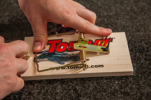 Image of Tomcat Rat Trap (Wooden), 1 Trap (Pack of 2)