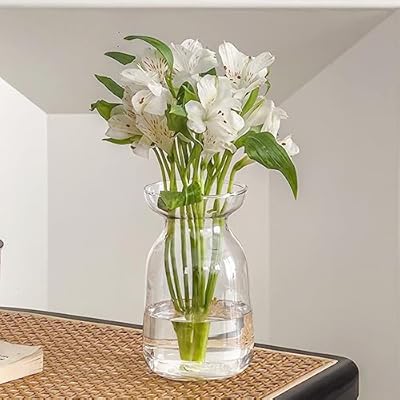 Gute Glass Vases for Decor, Flower Vase for Home Decor, Modern Decorative Flower Vase Centerpieces Living Room, Kitchen, Office Wedding or Gifts(Clear)