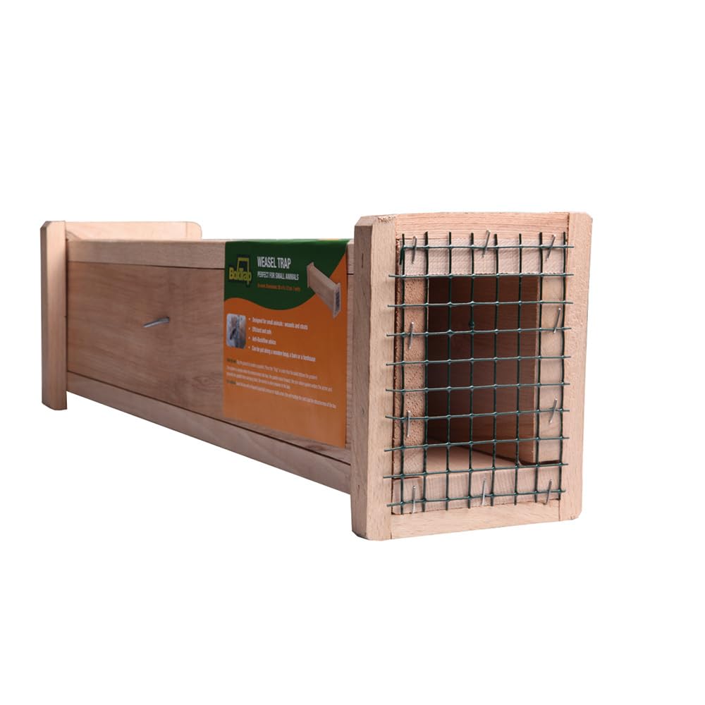 BOXTRAP - Belletière en Bois - Piège Inoffensif pour Belettes, Hermines, Rats et Nuisibles de Petite Taille - avec Palette à Système Anti-Retour - 49 x 6 x 8 cm