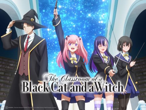 The Classroom of a Black Cat and a Witch