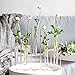 Hinged Flower Vases Test Tube Flower Vase with 5 Test Tubes Gold Metal Frame can be Bent and Contorted, Propagation Station Plant Holder Tubos De Ensayo for Home Wedding Decor, Balcony