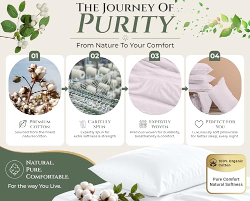 Image of Royale Linens 100% Cotton Pillow Cases Standard Size Set of 2 - Percale Pillowcase - Lavender Pillow cases Soft Cooling & Breathable Hotel Cotton Pillowcases, Fits Standard Pillows (20 inchx26 inch, Lavender)