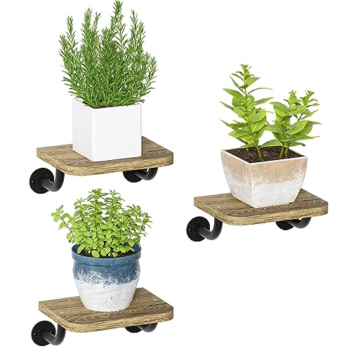 Mini Shelves The 16 best products compared Product guide The