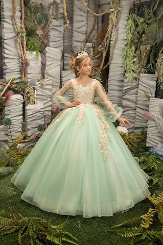MASRAXO Flower Girl Dress for Wedding Lace Appliques Princess Pageant Dress for Girls Ball Gown2