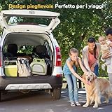 DEANIC B0D45FRZPT lato 2