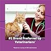 FELIWAY Classic Cat Calming Pheromone Diffuser: 1 Diffuser & 2 Refills (60 Days)