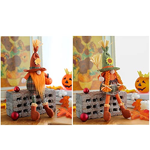 ASSR 2 gnomi autunnali, Gnomi del Ringraziamento