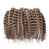 【El paquete incluye】: Recibirá 50pieces de pluma natural de cola de faisán, suficiente para usar, estas plumas han sido tratadas profesionalmente y son ambientalmente seguras.