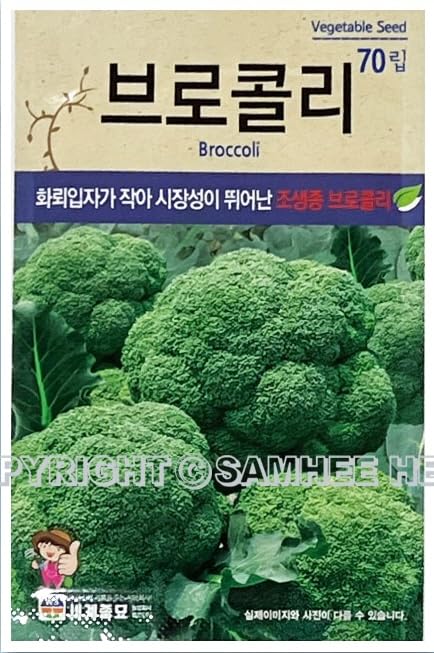 Broccoli Plant Seeds Korean, 1 Pack, 4 Grams (브로콜리)