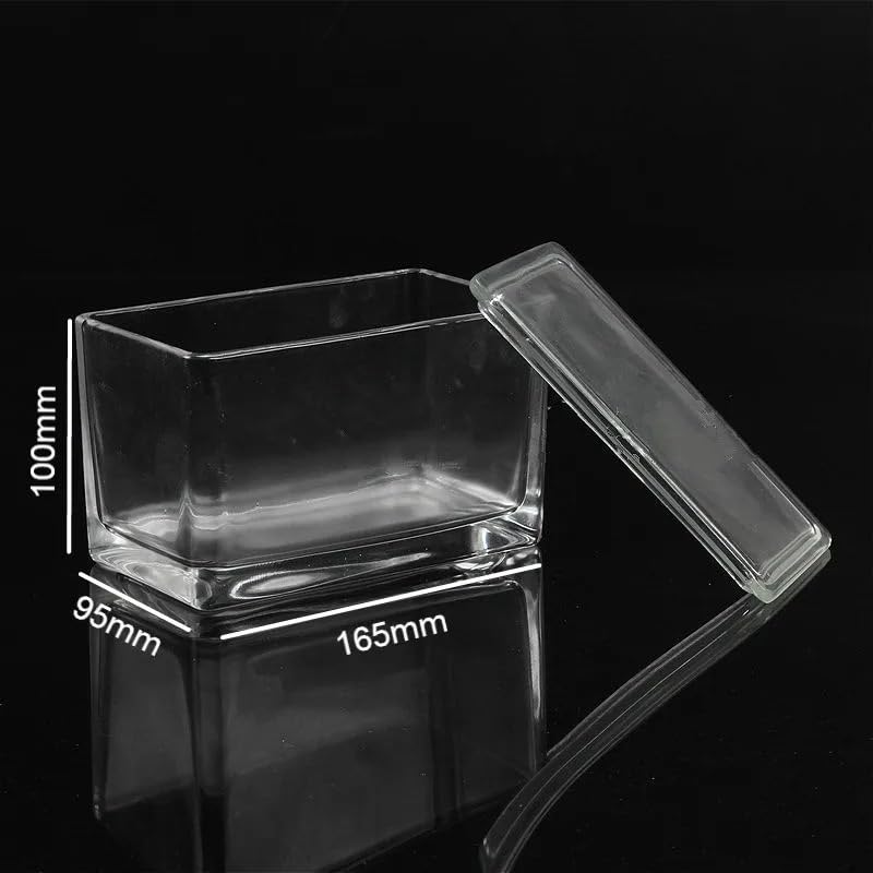 Staining Cells Glass Dyeing Tank Rectangle Staining Tank for Up to 60 Microscope Slides (Approx. 76 * 26mm) Thick Walls with Cover