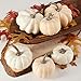 Fall Artificial Assorted Creamy White Pumpkins