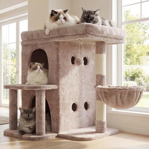 Heybly Arbre à Chat, Tour de 65 cm pour Grands Chats avec Plateforme Spacieuse, Cabines Double Couche, Poteaux à Griffes en Sisal, Panier Confortable et Pompon, Marron...