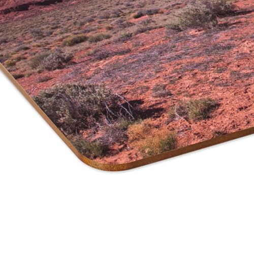 Set de table en liège Far West grand format 39,5x28,5 cm x4