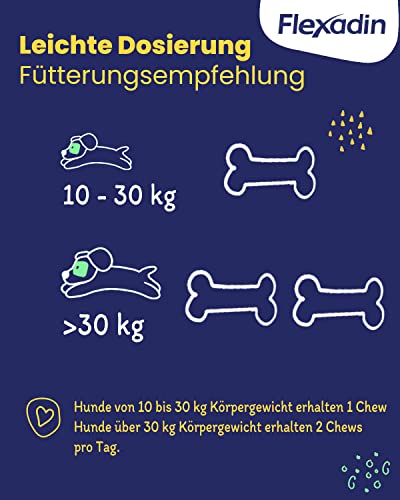 Flexadin® Young Dog Maxi| Für gesunde Gelenke von Jungen Hunden ab 10 kg | mit Glucosamin, Chondroitin, Omega-3, Teufelskralle – 60 Gelenkleckerli
