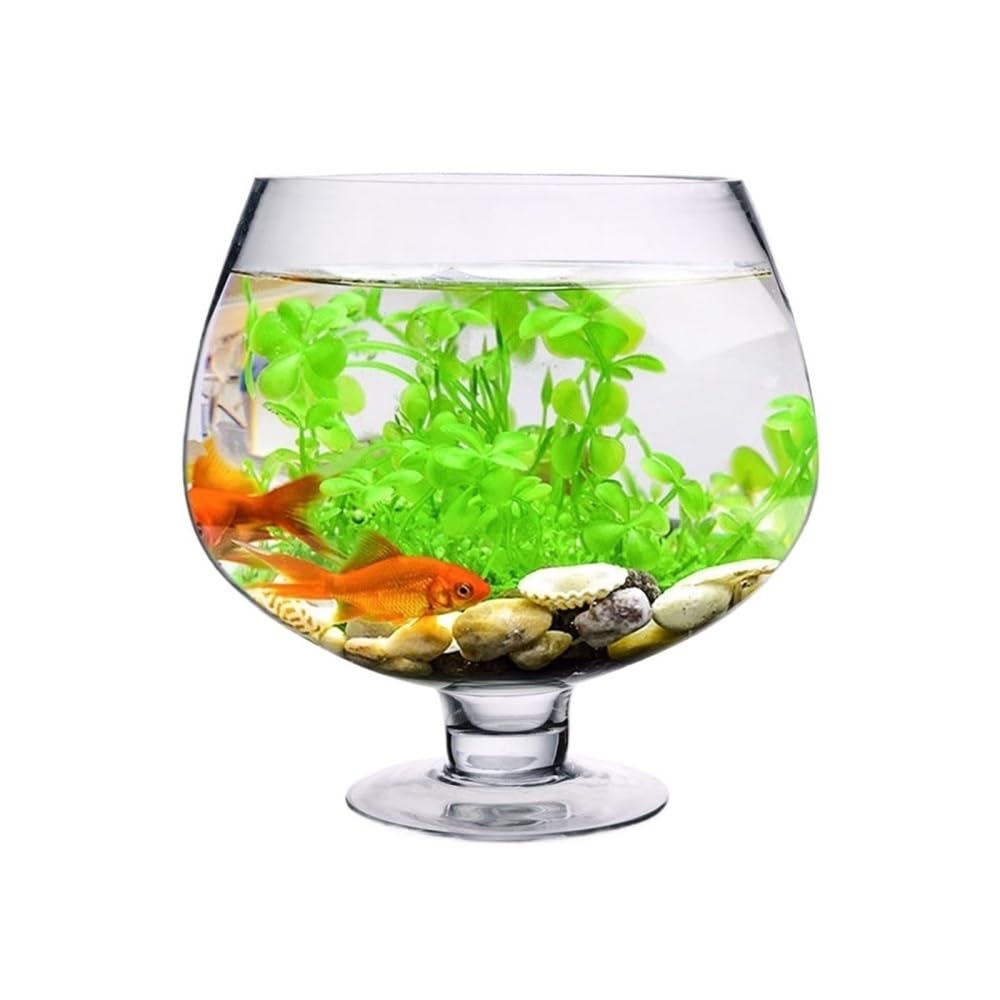Aquarium Kleines Aquarium aus dickwandigem, transparentem Glas – kreatives Design for Wohnzimmer und Schreibtisch(10cm)