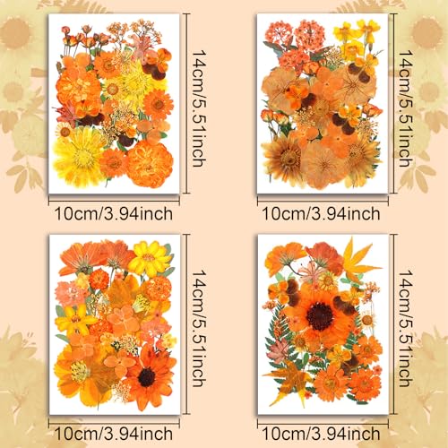 120 flores secas prensadas para artesanías y decoración miniatura 4