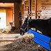 Shinylin Aisle Stall Guards for Horses 126 x 21.3 Inches Horse Stall Guard Designed to Keep Horse Securely in Stall in Style, Adjustable Straps and Sturdy Hardware Included