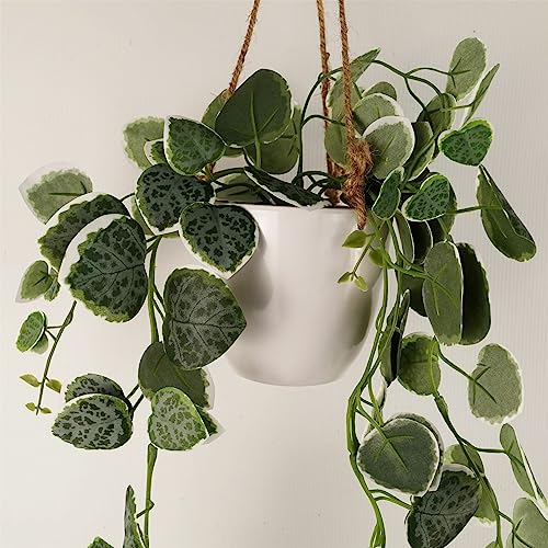 Plantas colgantes artificiales para decorar zonas sin luz y sin riego 4
