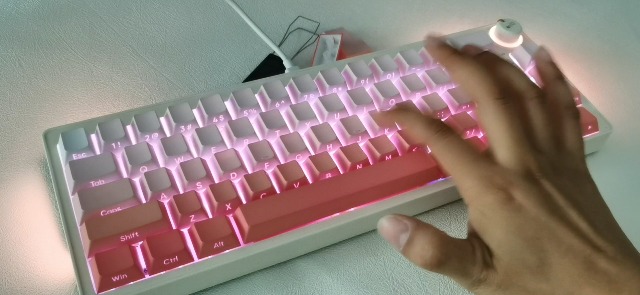 Anterior 6 White & Pink Esthetics 大河 片岡 Amazon.com: Guffercty kred Cute PBT Key Caps 135-keys Custom