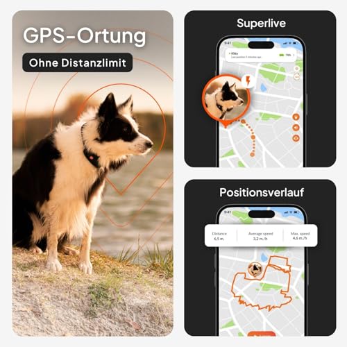 Weenect Hund XT - NEUES GPS-Halsband für Hunde | XL-Antenne | Wasserdicht | Hyperresistentes integriertes Julius-K9 Halsband Blau Abonnement erforderlich