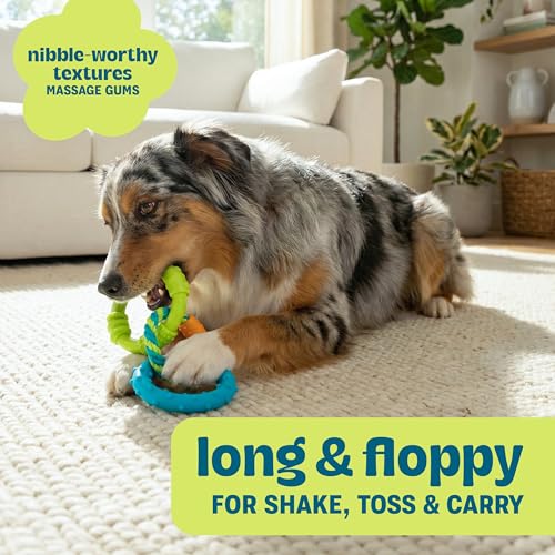 Pupstages Dental Links Dog Chew Toy for Teething Puppies & Small Dogs up to 30 lbs, Floatable & Textured Ring & Rope Tug, Dental Support, Moderate Chewers, 8.5"