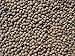 Lentils 15 Lbs, Joseph's Grainery Brown Lentils, All Natural, Non-GMO, Kosher Certified