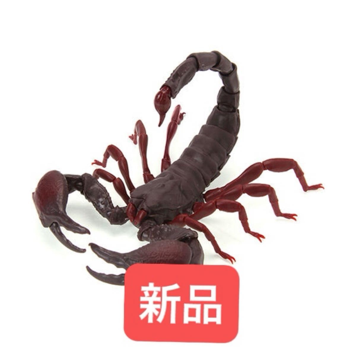 トロピカルスコーピオン 標本 シンガポール産 レッドクロー
