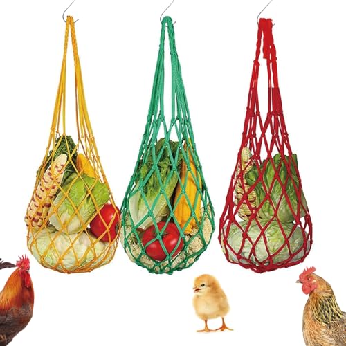 How to bond with a kakariki How to bond with a kakariki