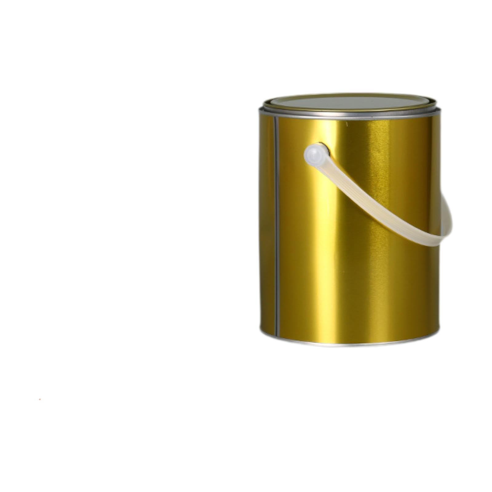 BLWOTMOR Empty Rustproof Metal Paint Can with Handle And Lid, Paint Container, DIY Projects And, 6L