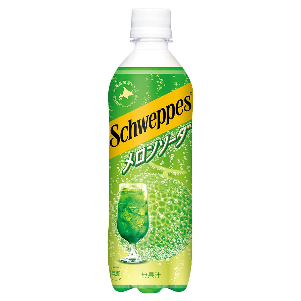 シュウェップス(Schweppes) メロンソーダ 490mlPET 24本