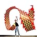 DSJUGGLING 3D Dragon Poi with 340g Weighted Ball & 1.1 Meters Swing Rope - Silk Flowy Shaking & Flinging Chinese Golden Dragon Ribbon Streamer + Travel Bag! (6 Meters (19.6 FT), Golden Red Dragon)