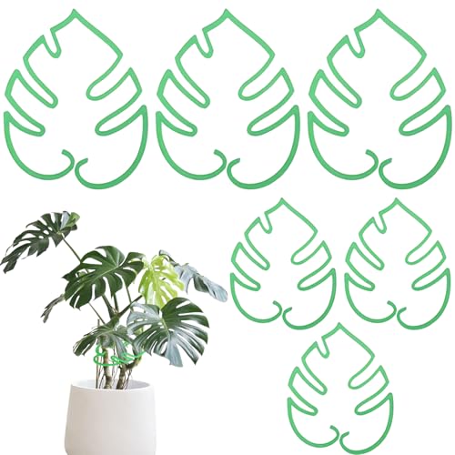 園芸支柱 モンステラ 12個セット 観葉植物 支柱 モンステ 植物サポート ラフラワースタンド 花支架 植物転倒防止 成長段階 簡単 長期間使用 ガーデニング用 農業用 園芸用品
