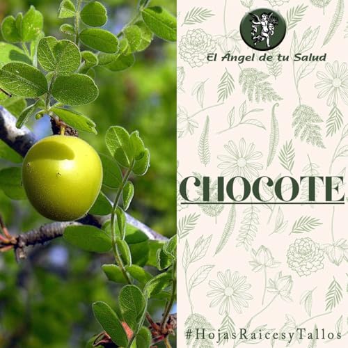 『El Ángel de tu Salud - Chocote**』のカバーアート